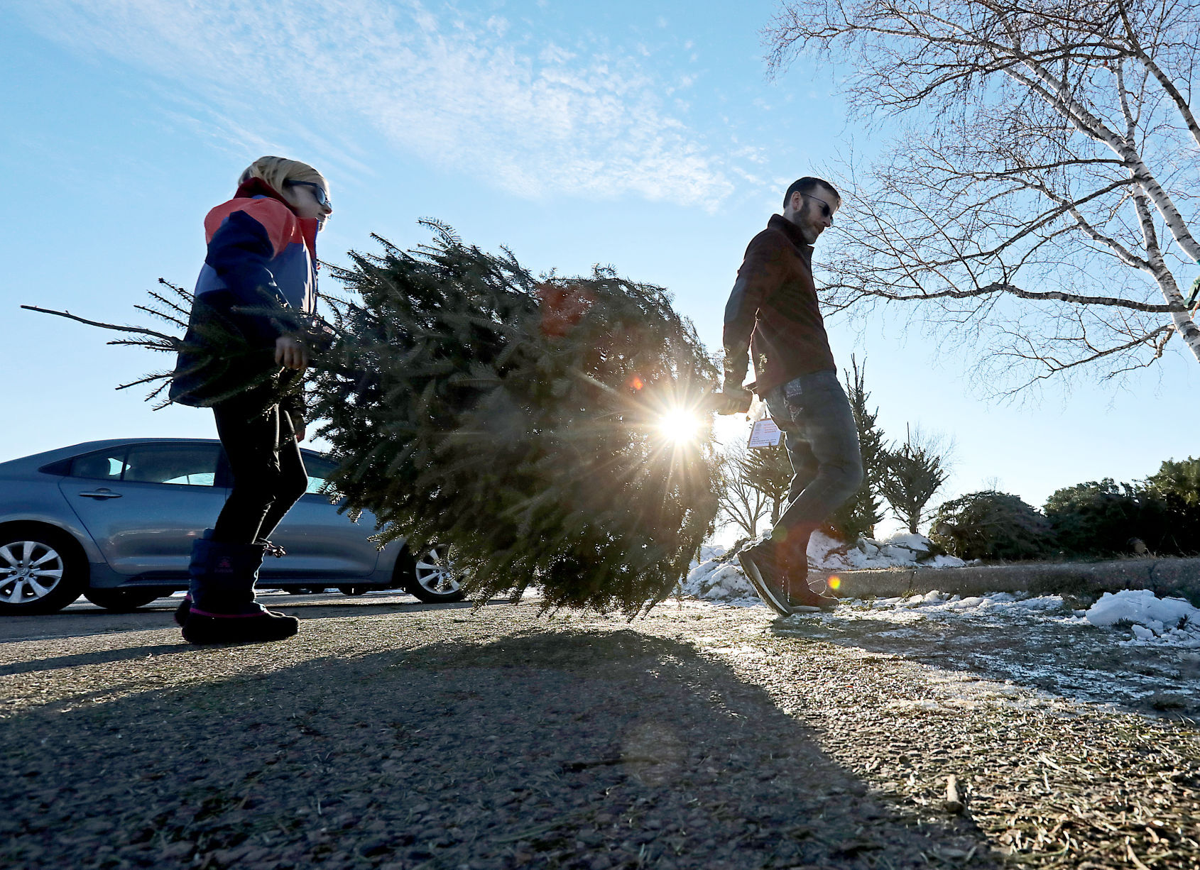 Christmas tree donation